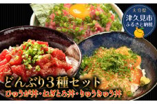 どんぶり3種セット ぶりのりゅうきゅう丼・まぐろの漬け丼（ひゅうが丼）・まぐろのたたき（ねぎとろ）セット ねぎとろ 鮪丼 まぐろ 大分県産 九州産 津久見市 熨斗対応