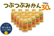 つぶつぶみかん 190g×30本 フルーツジュース ミカンジュース オレンジジュース 大分県産 九州産 津久見市 国産