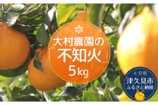 【先行予約】大村農園のみかん 不知火 5kg ミカン 蜜柑 オレンジ 果実 旬のフルーツ 大分県産 九州産 津久見市 国産