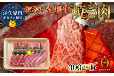 おおいた和牛 焼肉300g 和牛 豊後牛 国産牛 赤身肉 焼き肉 大分県産 九州産 津久見市 国産