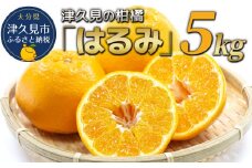 【先行予約】津久見のみかん はるみ 5kg ミカン 蜜柑 オレンジ 果実 旬のフルーツ 大分県産 九州産 津久見市 国産