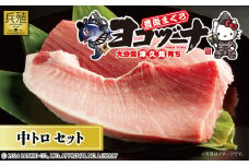 豊後まぐろ ヨコヅーナ刺身用・中トロ 400g 　本鮪 本マグロ 海鮮丼 刺し身 盛り合わせ 冷凍 魚の刺身 大分県産 九州産 津久見市 