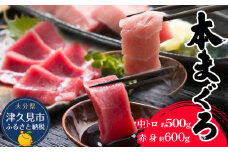 本マグロ まぐろ 中トロ 約500g・赤身 約600gセット 鮪 海鮮丼 刺し身 刺身 盛り合わせ 冷凍 魚の刺身 大分県産 九州産 津久見市 熨斗対応