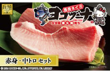 豊後まぐろ ヨコヅーナ  赤身400ｇ 中トロ400g 鮪 マグロ 海鮮丼 刺し身 盛り合わせ 冷凍 魚の刺身 大分県産 九州産 津久見市 