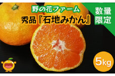 【先行予約・数量限定】野の花ファーム 秀品 石地みかん 5kg  ミカン オレンジ 蜜柑 フルーツ 旬 果物 くだもの 大分県産 九州産 津久見市 国産