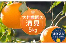 【先行予約】大村農園のみかん 清見 5kg ミカン 蜜柑 オレンジ 果実 旬のフルーツ 大分県産 九州産 津久見市 国産
