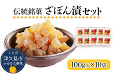 伝統銘菓 ざぼん漬セット 100g×10袋 菓子 お土産 茶菓子 和菓子 ドライフルーツ 大分県産 九州野菜 産地直送 九州産 津久見市 熨斗対応