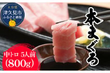 本まぐろ お刺身用 中トロ5人前(800g) 鮪 海鮮丼 刺し身 刺身 盛り合わせ 冷凍 魚の刺身 大分県産 九州産 津久見市 熨斗対応