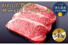 おおいた豊後牛 サーロインステーキ 180g×3枚(合計540g) 和牛 豊後牛 国産牛 赤身肉 焼き肉 焼肉 ステーキ肉 大分県産 九州産 津久見市 国産