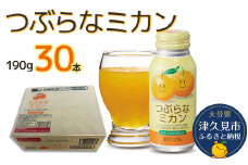 つぶらなミカン 190g×30本 みかんジュース オレンジジュース 蜜柑 ミカン 大分県産 九州産 津久見市 国産