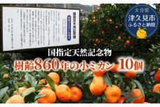 【先行予約】国指定天然記念物 尾崎小ミカン先祖木の小ミカン10個 みかん オレンジ 蜜柑 大分県産 九州産 津久見市 国産