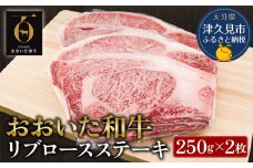 おおいた和牛 リブロースステーキ約250g×2枚(合計500g） 和牛 豊後牛 赤身肉 焼き肉 焼肉 大分県産 九州産 津久見市 熨斗対応