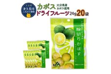 カボスドライフルーツ 24g×20袋 熨斗対応 ドライフルーツ かぼす 柑橘系フルーツ 大分県産 九州産 津久見市 熨斗対応