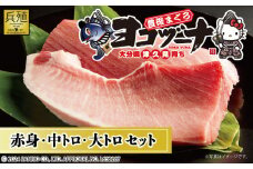 豊後まぐろ ヨコヅーナ 贅沢セット 赤身250g 中トロ500g 大トロ250g入りの豪華セット 大分県産 九州産 津久見市 