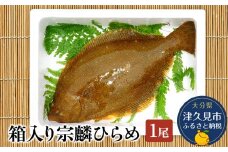 箱入り宗麟ひらめ 1尾 ヒラメ 平目 鮃 刺身 刺し身 生魚 新鮮 大分県産 九州産 津久見市 国産