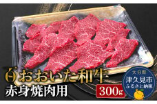 おおいた和牛 赤身 焼肉用 300g 牛肉 和牛 豊後牛 赤身肉 焼き肉 大分県産 九州産 津久見市 熨斗対応
