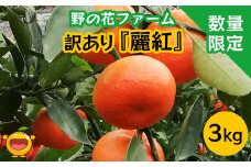 【先行予約・数量限定】野の花ファーム 訳あり 麗紅 3kg みかん ミカン オレンジ 蜜柑 フルーツ 旬 果物 くだもの 大分県産 九州産 津久見市 国産
