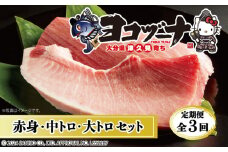 【定期便3回】豊後まぐろヨコヅーナ贅沢セット全3回 赤身250g 中トロ500g 大トロ250g入りの豪華セット 大分県産 九州産 津久見市