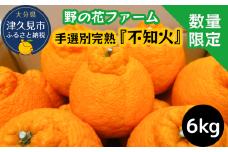 【先行予約・数量限定】野の花ファーム 不知火 6kg 手選別完熟 みかん ミカン オレンジ フルーツ 柑橘類 大分県産 九州産 津久見市 国産