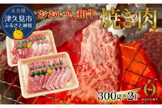 おおいた和牛 焼肉用 300g×2P(合計600g） 牛肉 黒毛和牛 バラ肉 和牛 豊後牛 国産牛 赤身肉 焼き肉 焼肉 大分県産 九州産 津久見市 国産