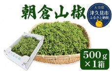 数量限定！朝倉山椒 500ｇ×1箱 生山椒 枝付き さんしょう サンショウ 花椒 ホアジャオ スパイス 調味料 大分県産 九州産 津久見市 国産