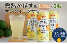 大分県産 完熟かぼす・サンクイーン サワー500ml×24本 サワー かぼすサワー みかんサワー オレンジ サワー チューハイ 大分県産 九州産 津久見市 国産