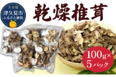 乾燥椎茸 訳あり 椎茸100g×5パック 干し椎茸 しいたけ 乾燥しいたけ 原木 大分県 津久見市 九州産野菜