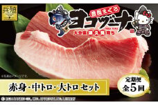 【定期便5回】豊後まぐろヨコヅーナ贅沢セット全5回 赤身250g 中トロ500g 大トロ250g入りの豪華セット マグロ まぐろ 鮪 刺身 刺し身 大分県産 九州産 津久見市 