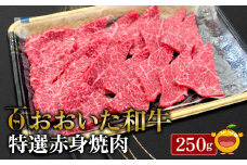 おおいた和牛 特選赤身焼肉 250g 牛肉 和牛 ブランド牛 黒毛和牛 ミスジ サンカク もも肉 赤身肉 焼き肉 焼肉 バーベキュー 大分県産 九州産 津久見市 熨斗対応　