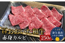 おおいた和牛 赤身カルビ 250g 牛肉 和牛 ブランド牛 黒毛和牛 赤身肉 焼き肉 焼肉 バーベキュー 大分県産 九州産 津久見市 熨斗対応