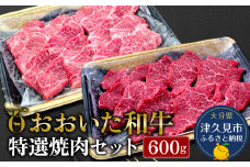 おおいた和牛 特選焼肉セット 600g(赤身焼肉300g  カルビ300g)牛肉 和牛 ブランド牛 黒毛和牛 赤身肉 カルビ 焼き肉 焼肉 バーベキュー 大分県産 九州産 津久見市 熨斗対応 