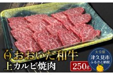 おおいた和牛 上カルビ 250g 牛肉 和牛 ブランド牛 黒毛和牛 赤身肉 焼き肉 焼肉 バーベキュー 大分県産 九州産 津久見市 熨斗対応 