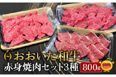 おおいた和牛 赤身焼肉セット3種(特選赤身250g  赤身300g 赤身カルビ250g)牛肉 和牛 ブランド牛 黒毛和牛カルビ 赤身肉 焼き肉 焼肉 バーベキュー 大分県産 九州産 津久見市 熨斗対応 