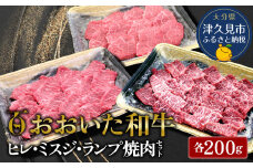 おおいた和牛 ヒレ・ミスジ・ランプ焼肉セット 牛肉 和牛 ブランド牛 黒毛和牛 赤身肉 焼き肉 焼肉 バーベキュー 大分県産 九州産 津久見市 熨斗対応　
