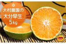 大村農園の極早生みかん おおいた早生 5kg おおいた早生 みかん ミカン オレンジ 柑橘類 果物 フルーツ 大分県産 九州産 津久見市 国産