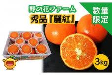 【先行予約・数量限定】野の花ファーム 秀品 麗紅 3kg みかん ミカン オレンジ 柑橘類 果物 フルーツ 大分県産 九州産 津久見市 国産