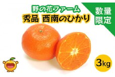 【先行予約・数量限定】野の花ファーム 秀品 西南のひかり 3kg みかん ミカン オレンジ 柑橘類 果物 フルーツ 大分県産 九州産 津久見市 国産