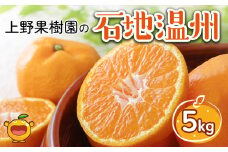 上野果樹園の石地温州 5kg 温州みかん ミカン オレンジ 柑橘類 果物 フルーツ 大分県産 九州産 津久見市 国産