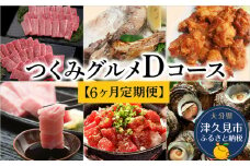 【6ヶ月定期便】つくみグルメDコース【3月から計6回】おおいた和牛焼肉セット、まぐろカマとカマのスライス、鳥いちのから揚げ、本まぐろ中トロ、ひゅうが丼、活サザエ 大分県産 津久見市