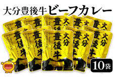 大分豊後牛ビーフカレー 10袋セット レトルト カレー ビーフ レトルト食品 和牛カレー お惣菜 大分県産 九州産 津久見市 国産 熨斗対応可