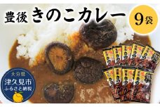 豊後きのこカレー 9袋 レトルトカレー 中辛タイプ 保存食 常温保存 非常食 ご当地カレー 椎茸 お取り寄せ グルメ 大分県産 九州産 津久見市