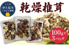 乾燥椎茸 訳あり 椎茸100g×3パック 乾しいたけ 干し椎茸 干ししいたけ 乾燥しいたけ 干しシイタケ 原木 大分県産 九州産 津久見市