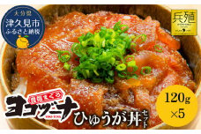 豊後まぐろ ヨコヅーナ ひゅうが丼セット 120g×5  鮪 マグロ 海鮮丼 刺し身 盛り合わせ 冷凍 新鮮 漬け丼 大分県産 九州産 津久見市 国産