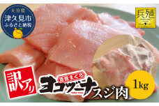 豊後まぐろ ヨコヅーナ 訳あり スジ肉 1kg 鮪 マグロ すじ肉 希少部位 ツナ ステーキ 天ぷら BBQ 塩焼き 煮つけ 冷凍 漬け丼 大分県産 九州産 津久見市 国産