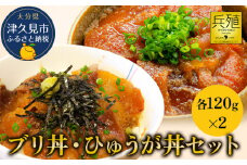 ブリ丼・ひゅうが丼セット 各120g×2 ひろびろいけすぶり 豊後まぐろ ヨコヅーナ  鮪 マグロ 海鮮丼 刺し身 盛り合わせ 冷凍 新鮮 漬け丼 大分県産 九州産 津久見市 国産