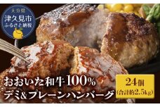 おおいた和牛100% デミ＆プレーンハンバーグ 24個 合計約2.5kg 牛肉 豊後牛 ハンバーグ おかず お弁当 小分け レンジ 時短料理 惣菜 冷凍 大分県産 九州産 津久見市 国産