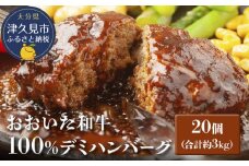 おおいた和牛100% デミハンバーグ 約150g×20個 合計約3kg 牛肉 豊後牛 ハンバーグ おかず お弁当 小分け レンジ 時短料理 惣菜 冷凍 大分県産 九州産 津久見市 国産