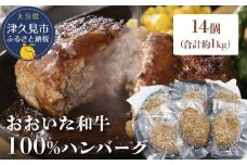おおいた和牛100% ハンバーグ 約70g×14個 合計約1kg 牛肉 豊後牛 ハンバーグ おかず お弁当 小分け レンジ 時短料理 惣菜 冷凍 大分県産 九州産 津久見市 国産