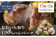 おおいた和牛100% ハンバーグ 約70g×34個 合計約2.4kg 牛肉 豊後牛 ハンバーグ おかず お弁当 小分け レンジ 時短料理 惣菜 冷凍 大分県産 九州産 津久見市 国産