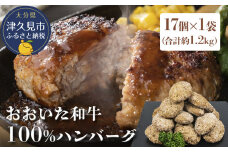 おおいた和牛100% ハンバーグ 約70g×17個 合計約1.2kg 牛肉 豊後牛 ハンバーグ おかず お弁当 小分け レンジ 時短料理 惣菜 冷凍 大分県産 九州産 津久見市 国産